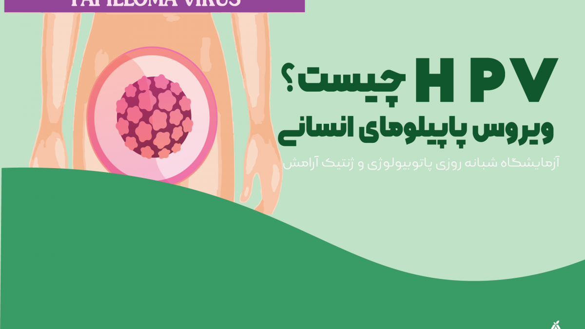 HPV زگیل تناسلی چیست