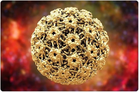 آزمایش HPV چیست ؟