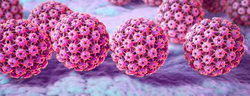 HPV اچ پی وی چیست
