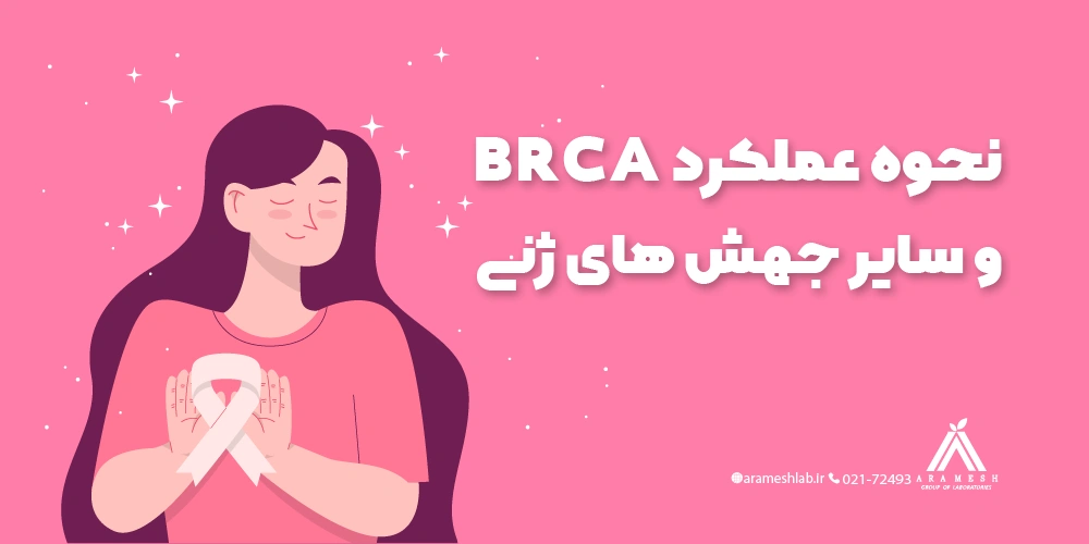 نحوه عملکرد BRCA و سایر جهش های ژنی