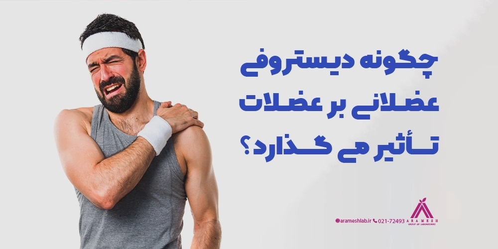 چگونه دیستروفی عضلانی بر عضلات تأثیر می گذارد؟