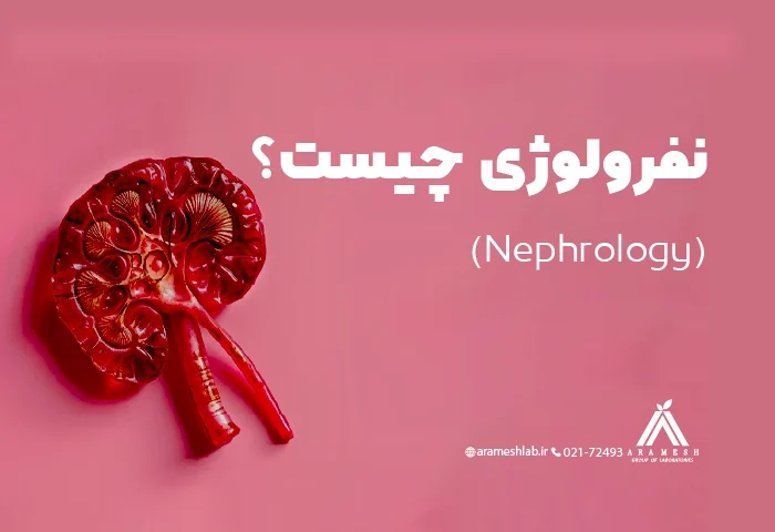 نفرولوژی (Nephrology) چیست؟