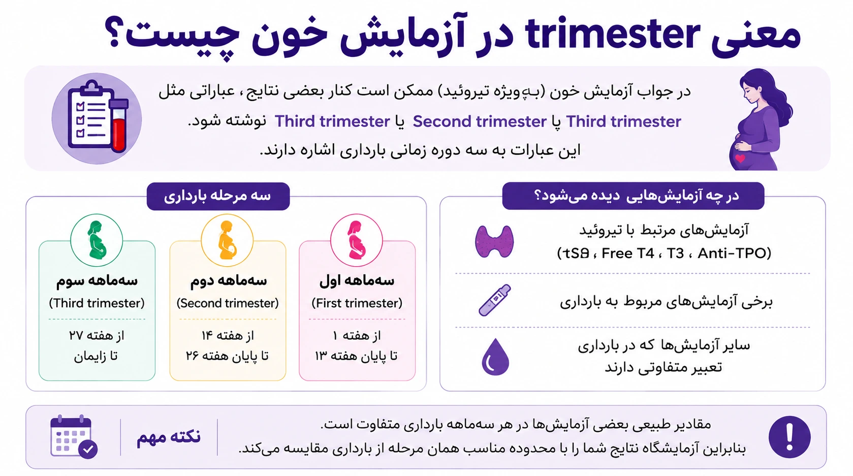 معنی trimester در آزمایش خون